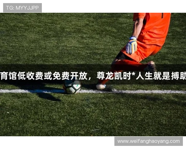 尊龙凯时体育官网:打造安全可靠的线上娱乐平台体验 尊龙凯时体育官网:打造安全可靠的线上娱乐平台体验