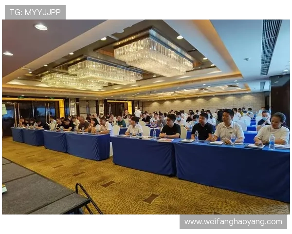 在ag会贵宾厅体验高端商务会谈环境,提升您的商务交流品质