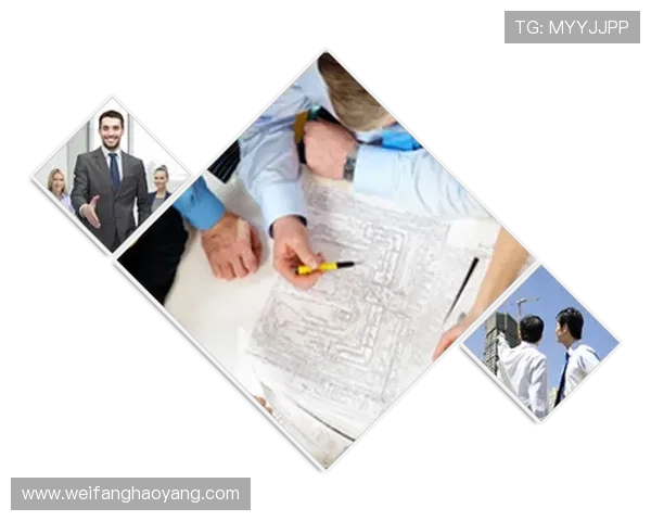 探讨尊龙凯时平台官网的会员体系，享受更多专属福利