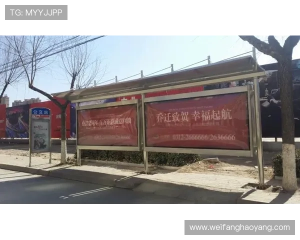 揭秘尊龙d88ag官方网站背后的技术支持与团队力量