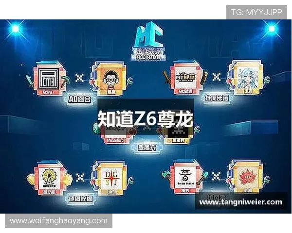 Z6凯时人生:玩家必备的游戏辅助工具推荐与使用技巧分享