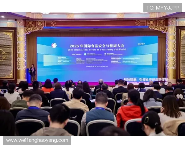 凯时尊龙安全保障措施全揭秘，保障玩家资金安全与个人信息隐私