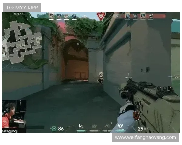 尊龙D88旗舰适合哪些类型玩家使用:游戏性能与用户需求全面满足 尊龙D88旗舰适合哪些类型玩家使用:游戏性能与用户需求全面满足