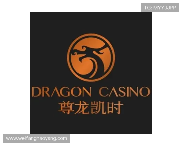 尊龙凯时体育官网安全可靠的游戏平台，保障玩家资金与个人信息安全的详细指南