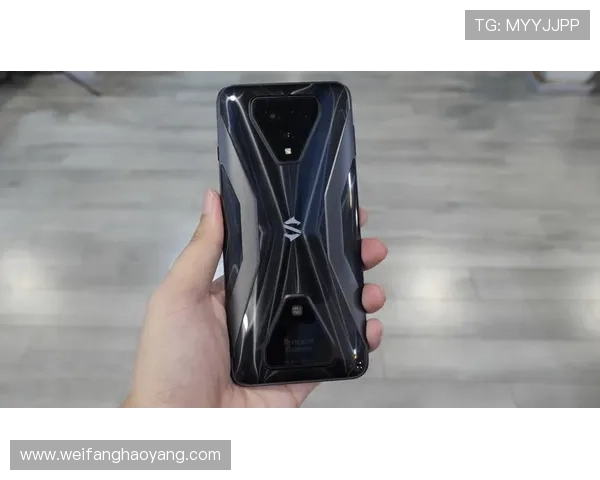 尊龙app手机版下载官网官方正版，避免盗版风险，保障游戏体验的真实性和安全性